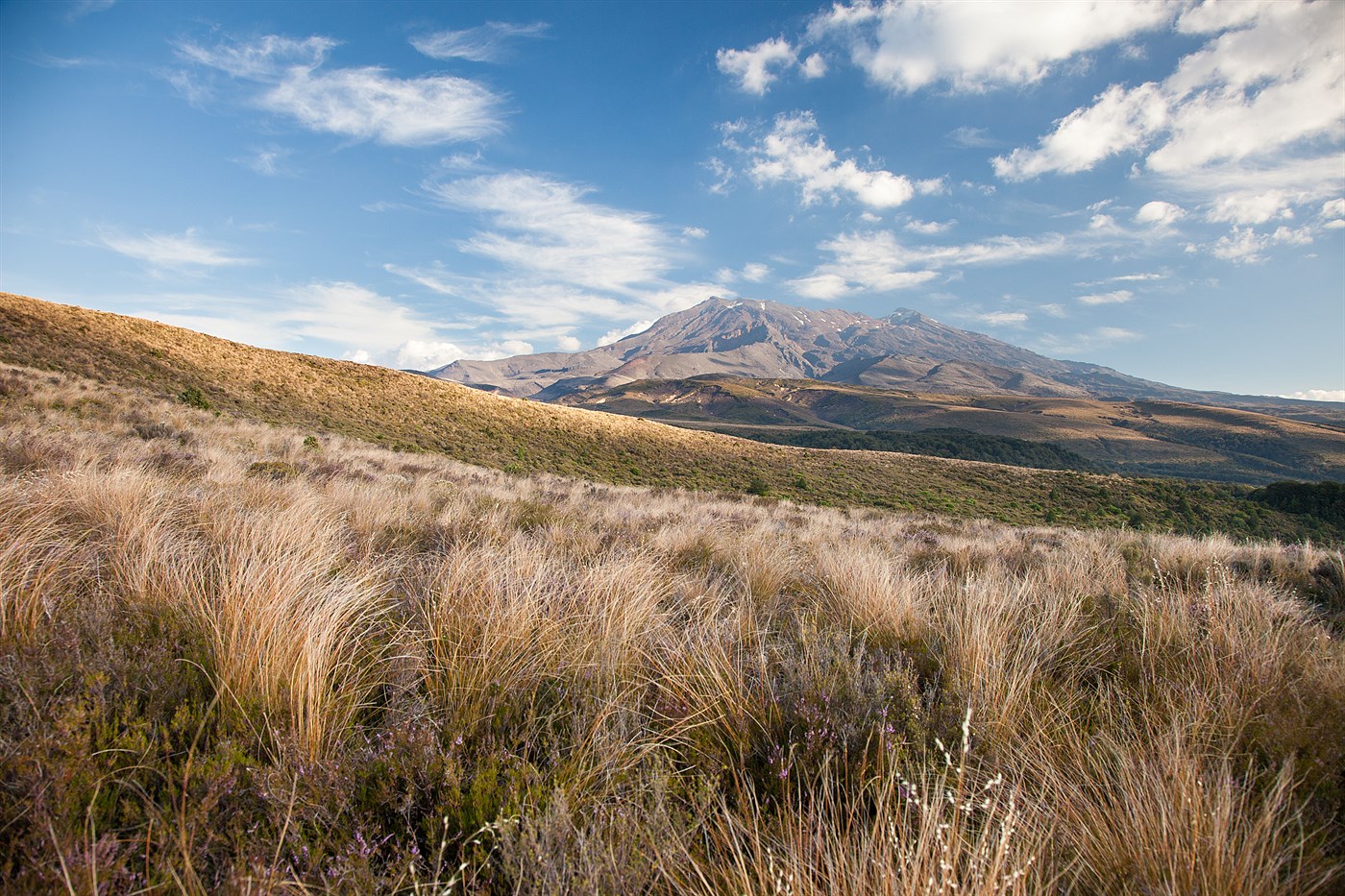 Přechod Tongariro, photo