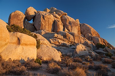 Joshua Tree photo