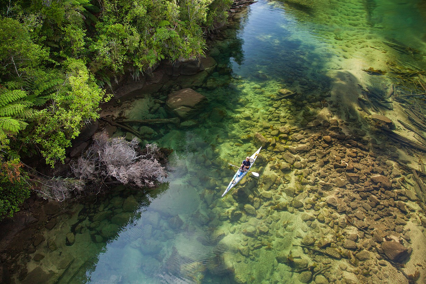 Abel Tasman Trek, photo