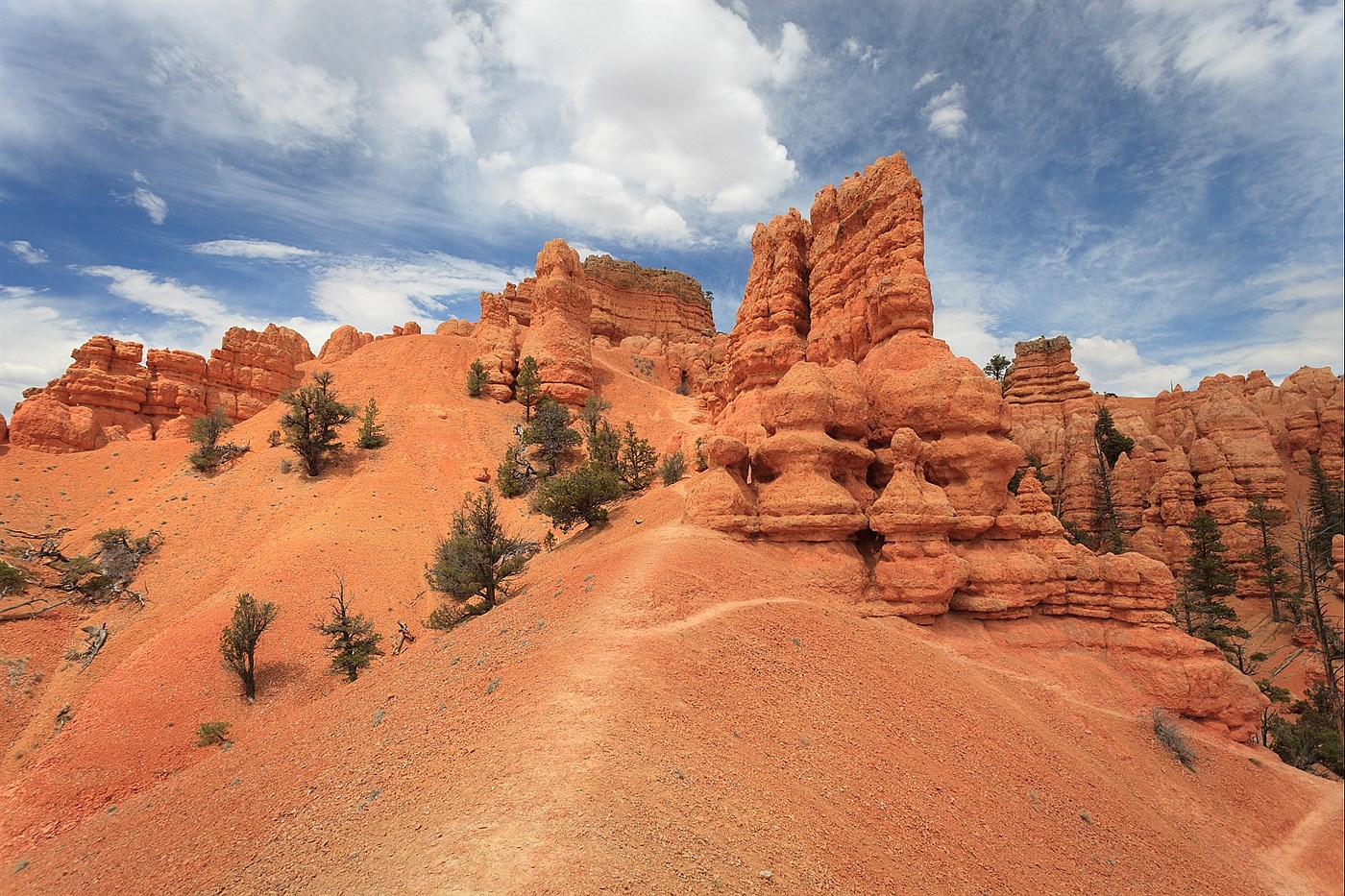 The Pine Hills, photo