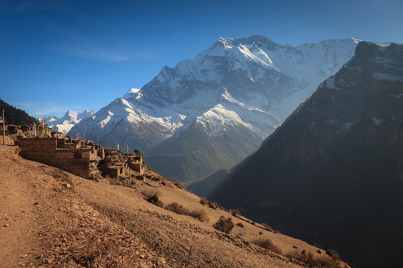 Ghyaru, photo