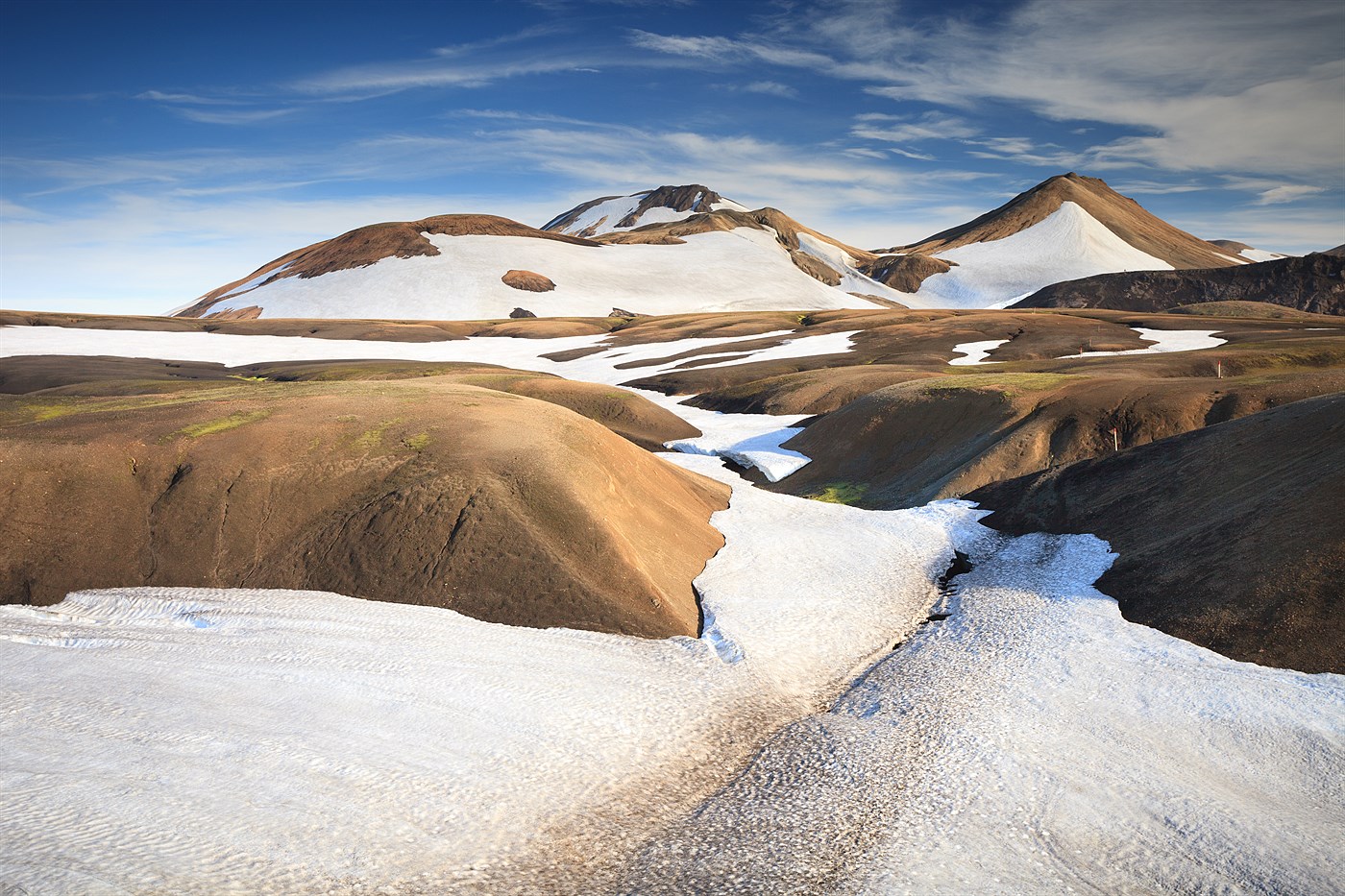 Háskerðingur, photo