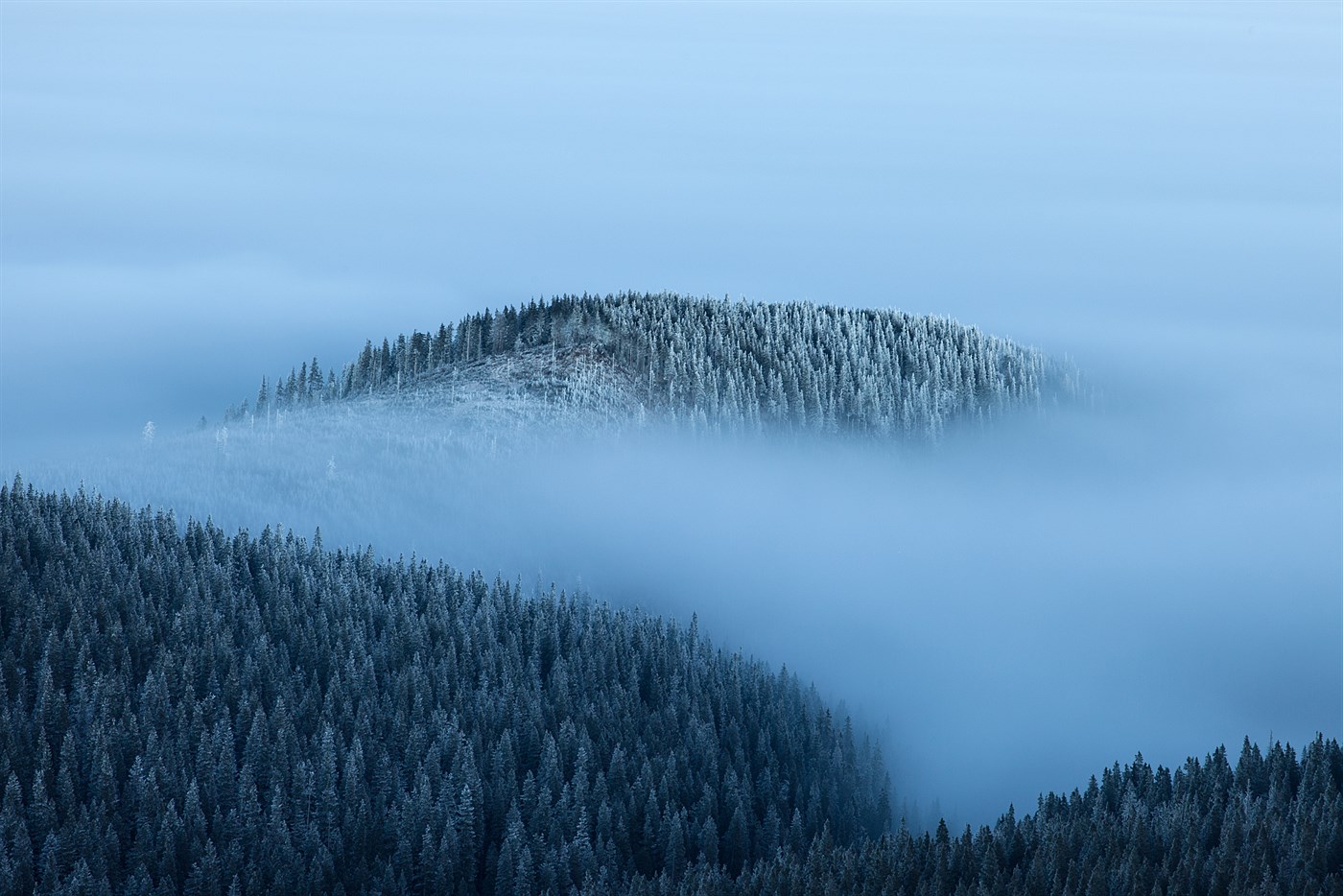 Ostrov, photo