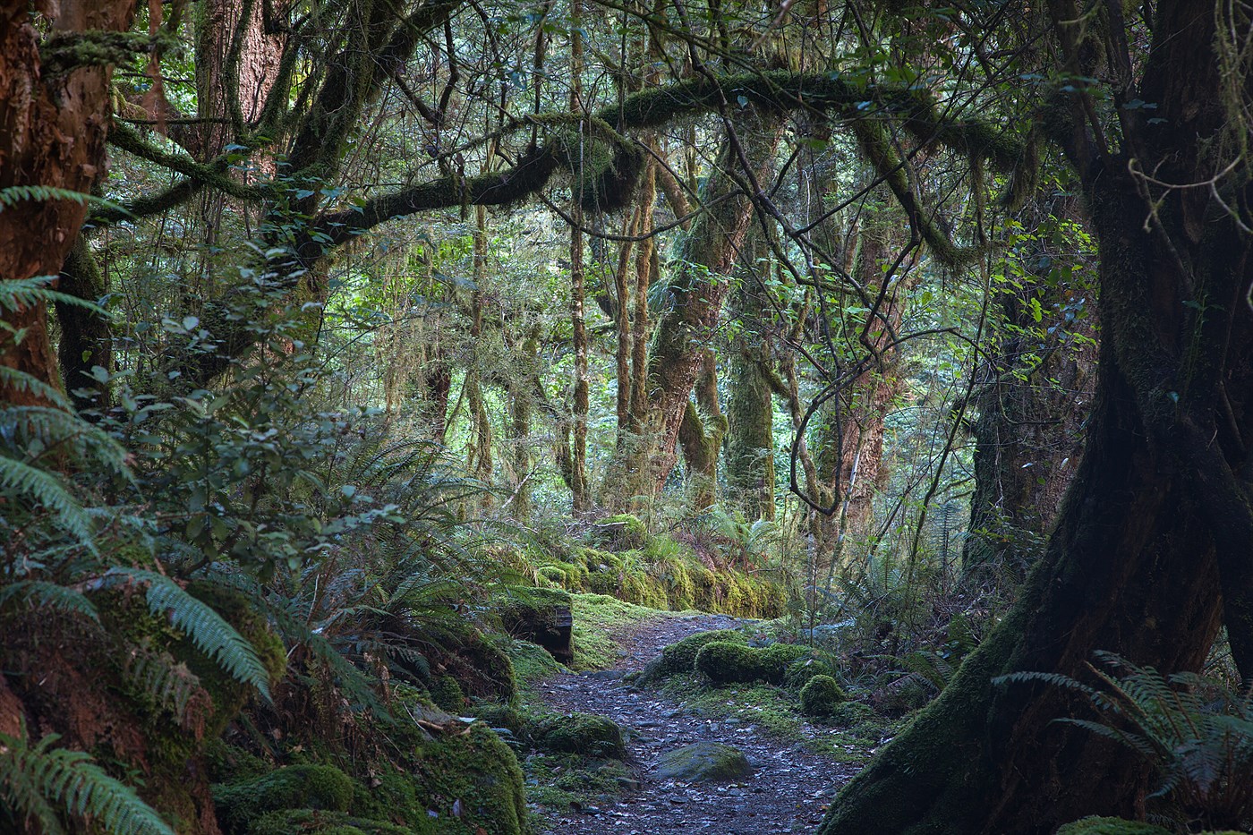 Kepler Trek, photo