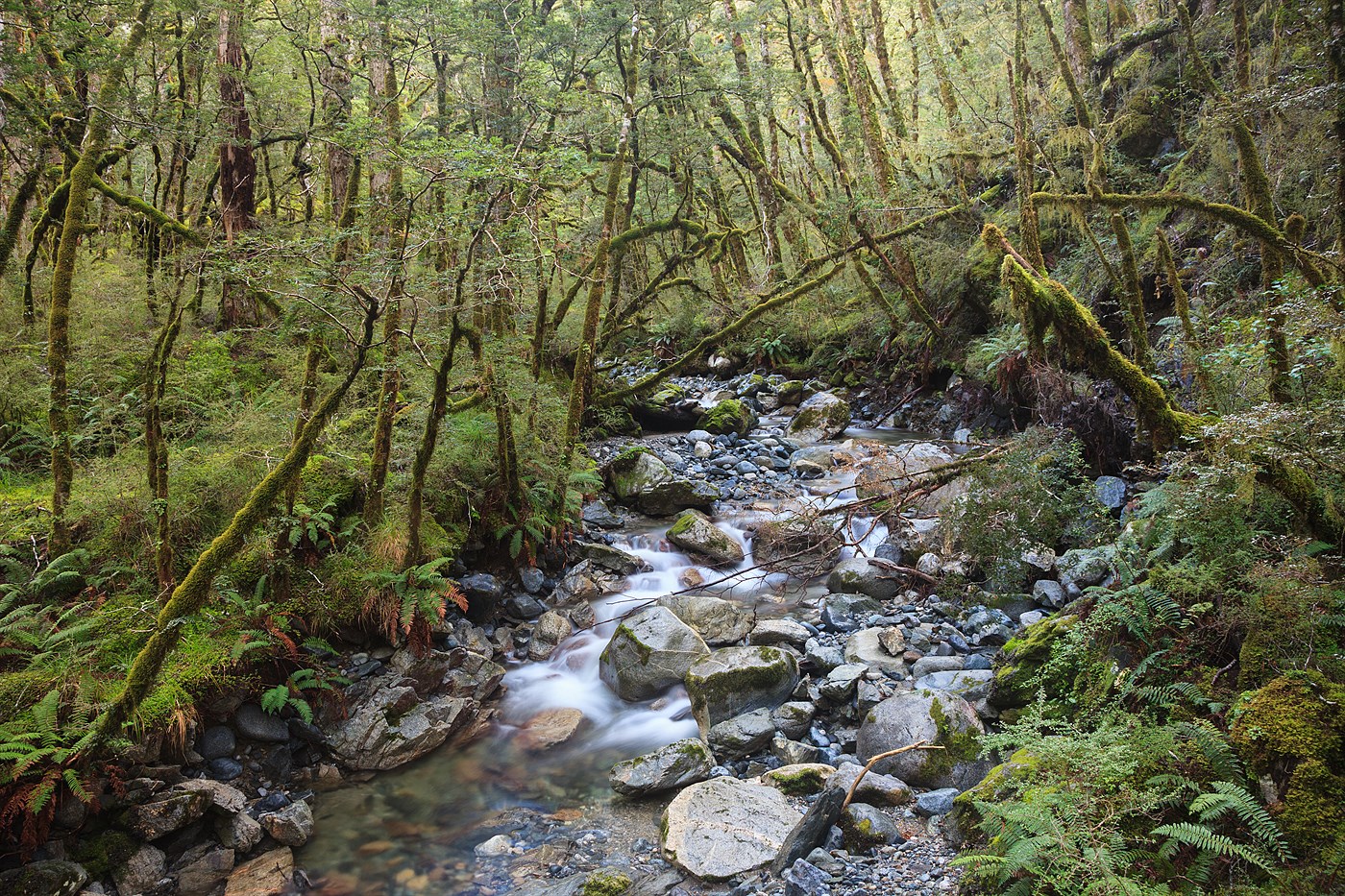 Kepler Trek River, photo