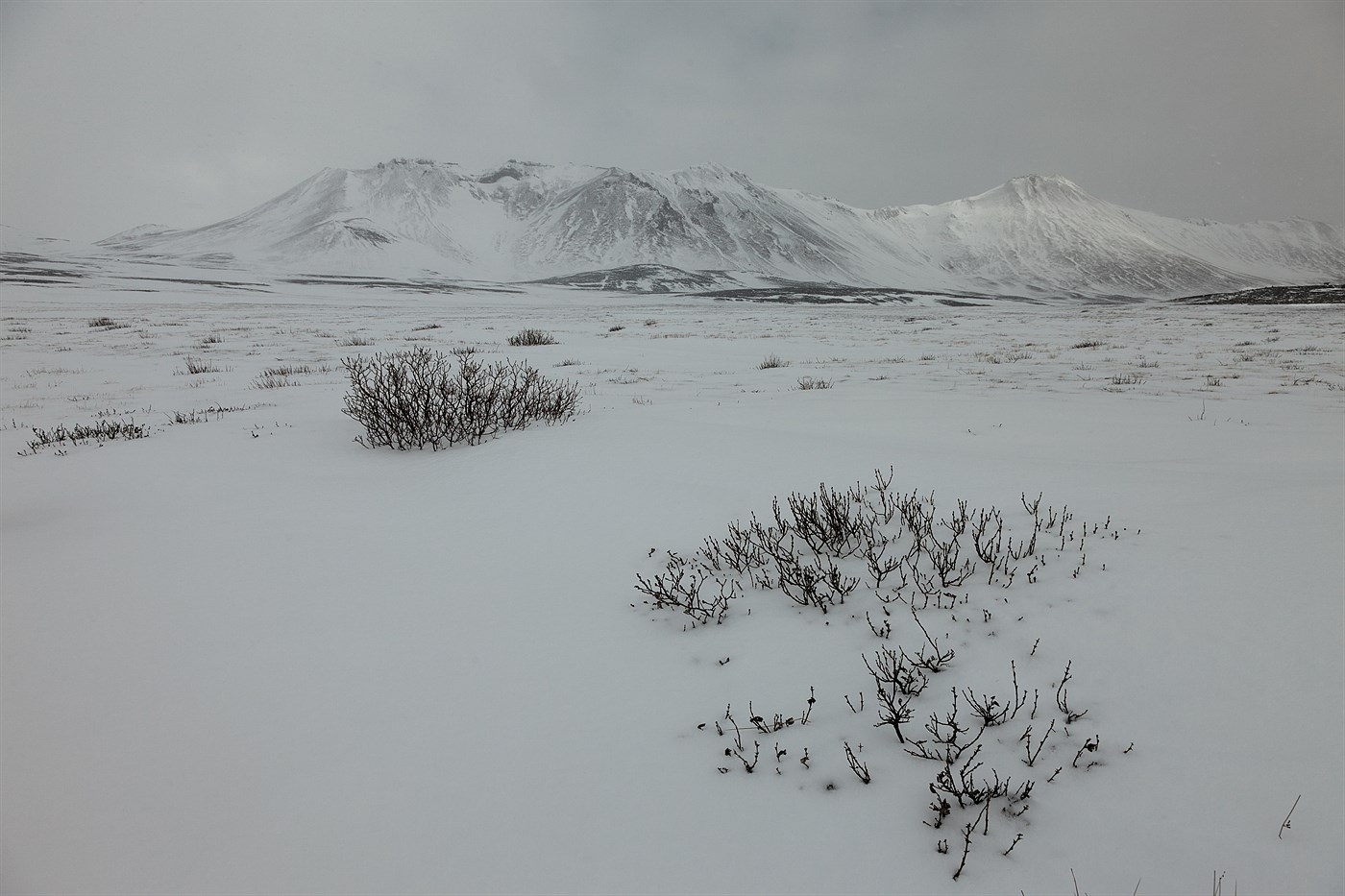 Arktida, photo