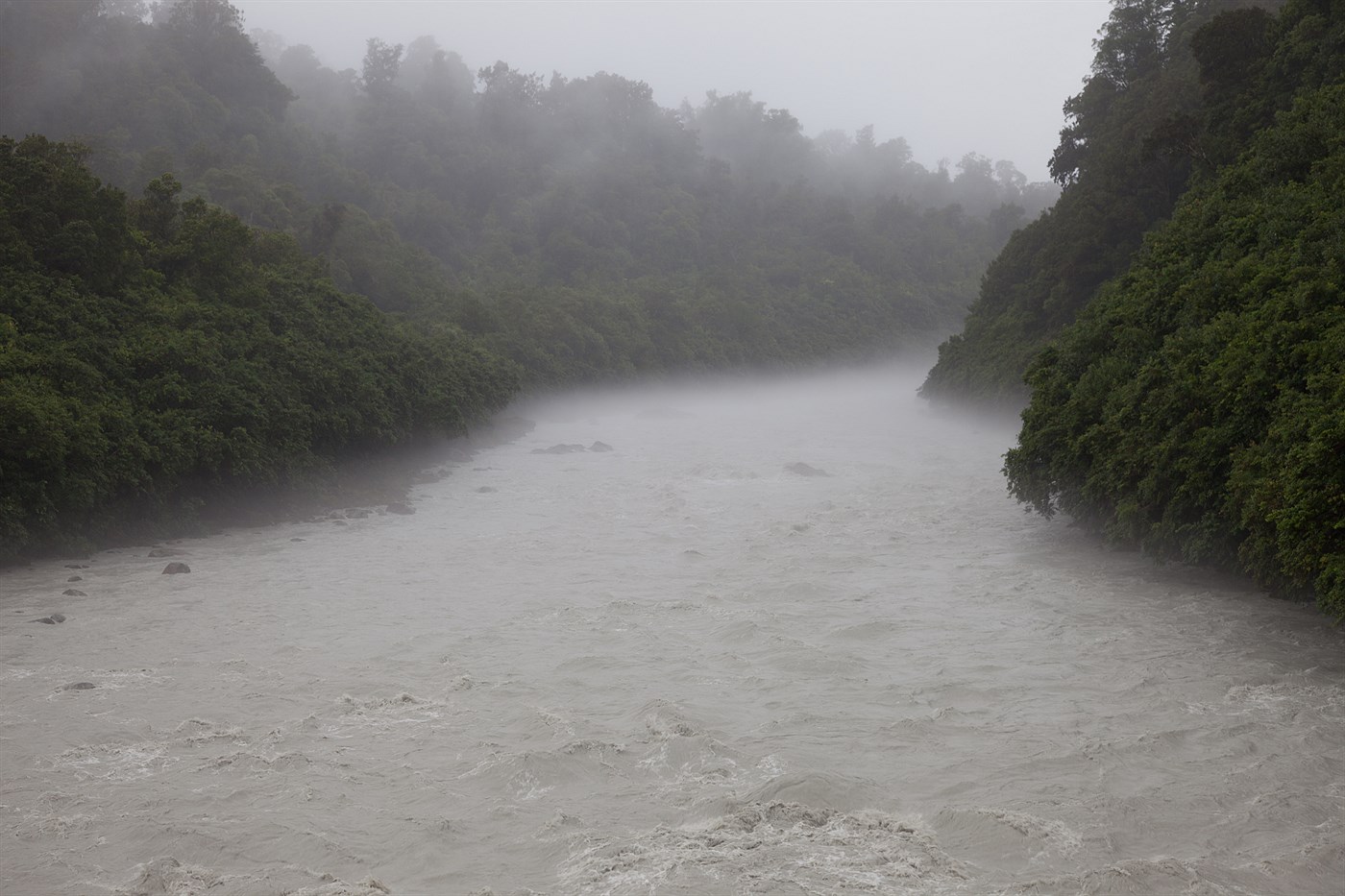 River on the West Coast, photo