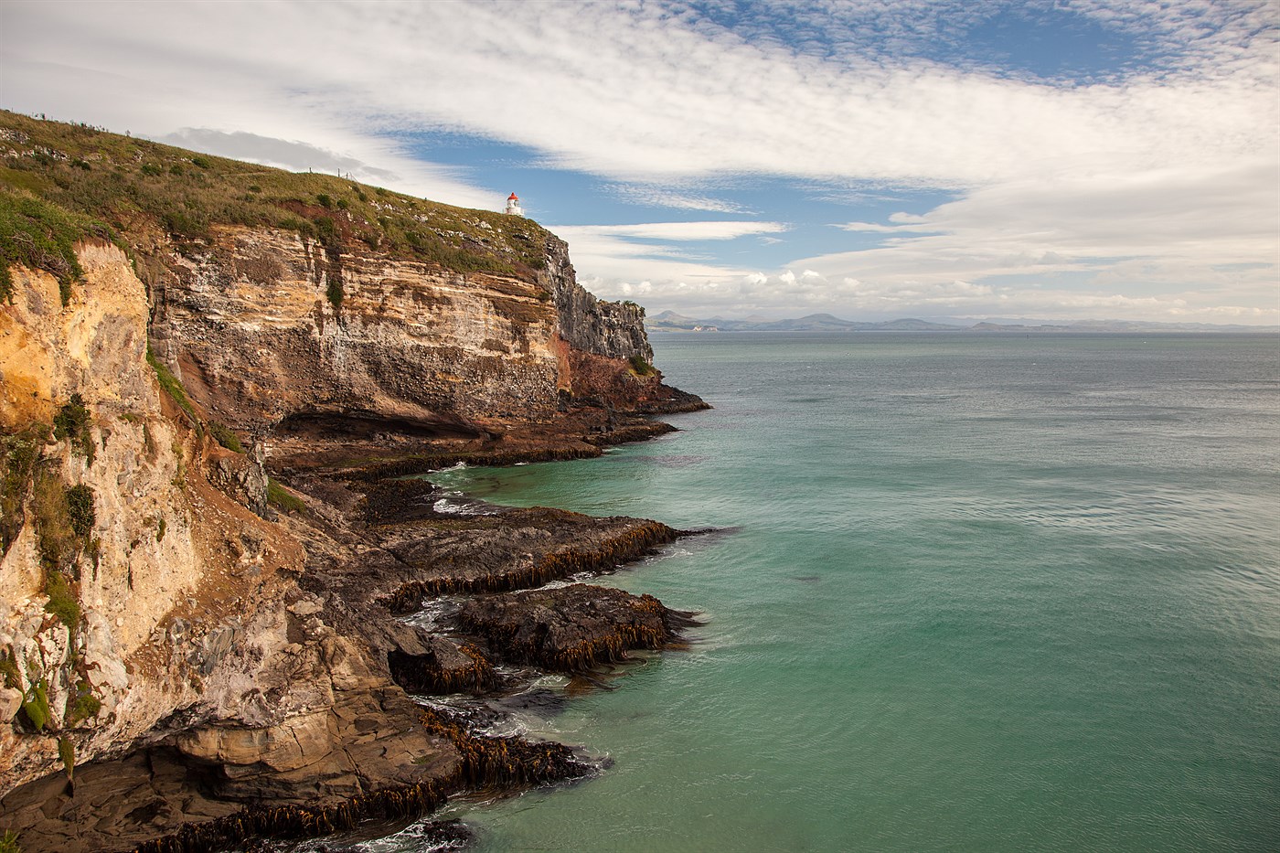 Otago Peninsula, photo