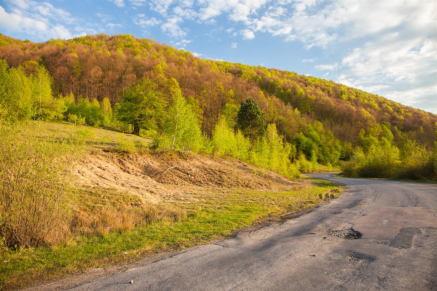 Přichází jaro, photo