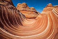 The Wave