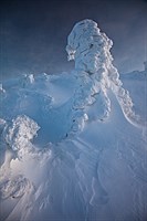 Snowy Dream