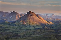 Stórasúla